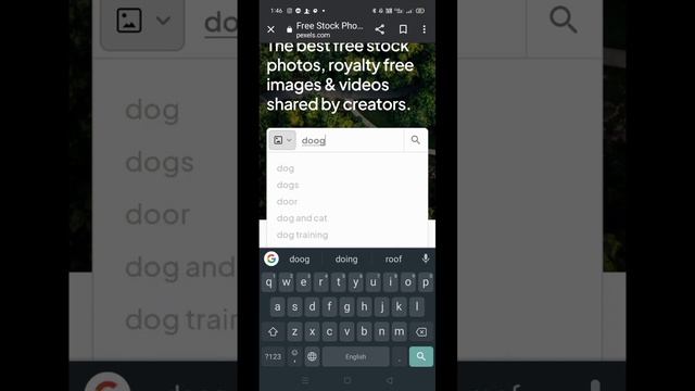 Free copyright videos audio and photos download #free #copyright #pexels смотреть онлайн