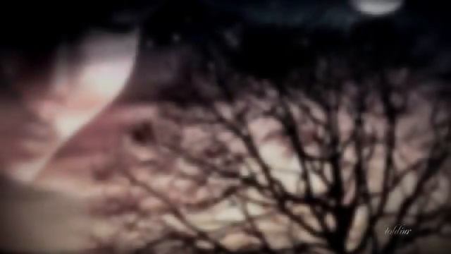 Peat Jr. & Trianon Dj's Feat. Gina - Mint A Madár (Rádio Mix)