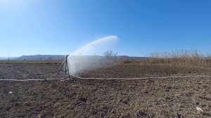 полив люцерны спринклер