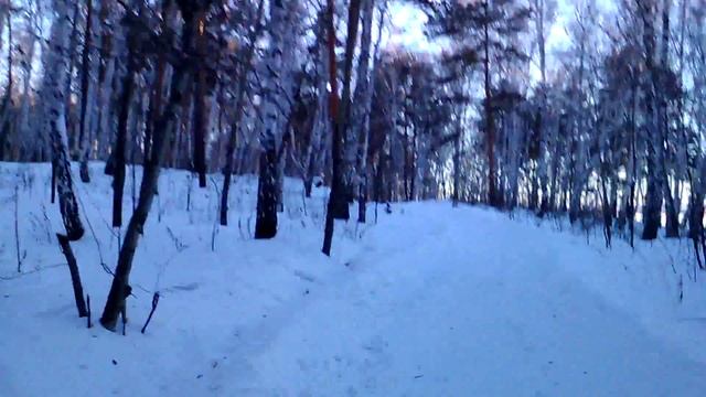 лес в озерске а там медведь смотреть онлайн