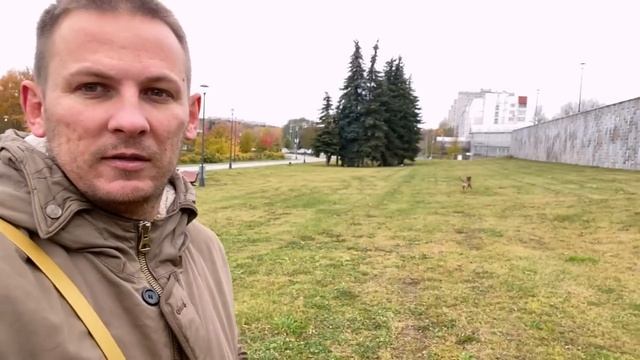 Три года с питбулем. Убежала собака с ЗКС. Снег Тренировки Наш рацион Куриный суп как в детстве смотреть онлайн