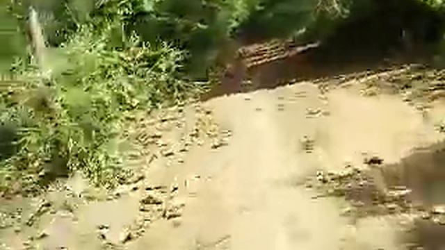 trip enduro suzuki dr 250 yamaha serow 225 andhonda baja 250 3 смотреть онлайн