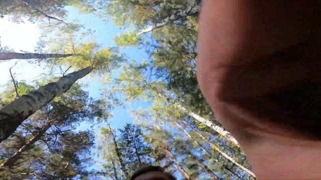 Прохват на гору Караташ! Башкирия рулит! Cfmoto cforce 600 EPS, BRP 650, Fxmoto x7 300 смотреть онлайн