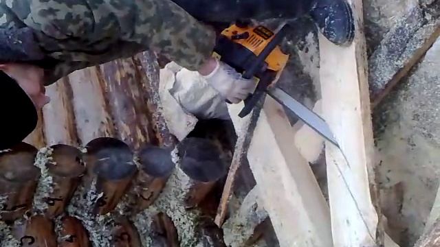 28112008015.mp4 смотреть онлайн