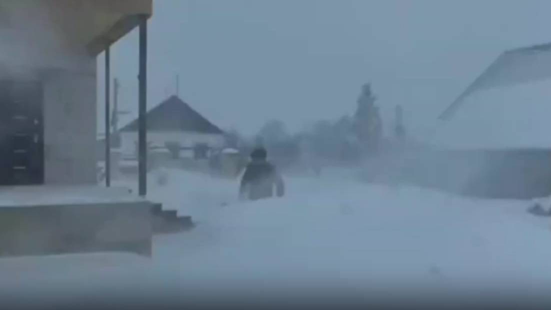 Нас замело! С подругой на прогулке! Ах,какая красавица к нам в гости пожаловала!!! смотреть онлайн