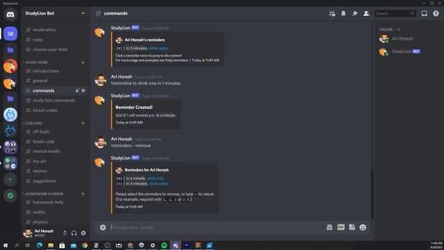 The BEST Discord Study and Productivity Reminders Bot Tutorial смотреть онлайн