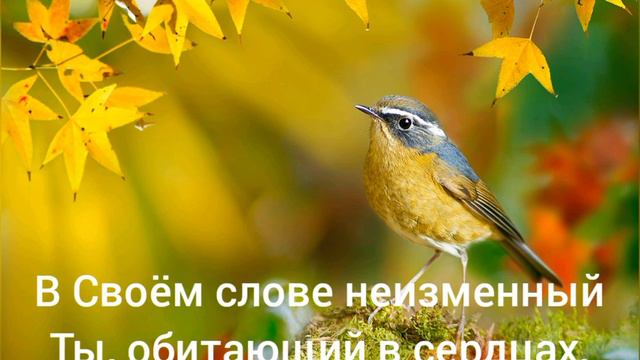 Вижу Бога каждый день - христианская песня(караоке) смотреть онлайн