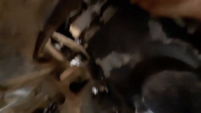 Drenar el aceite de motor de la ford explorer 2003