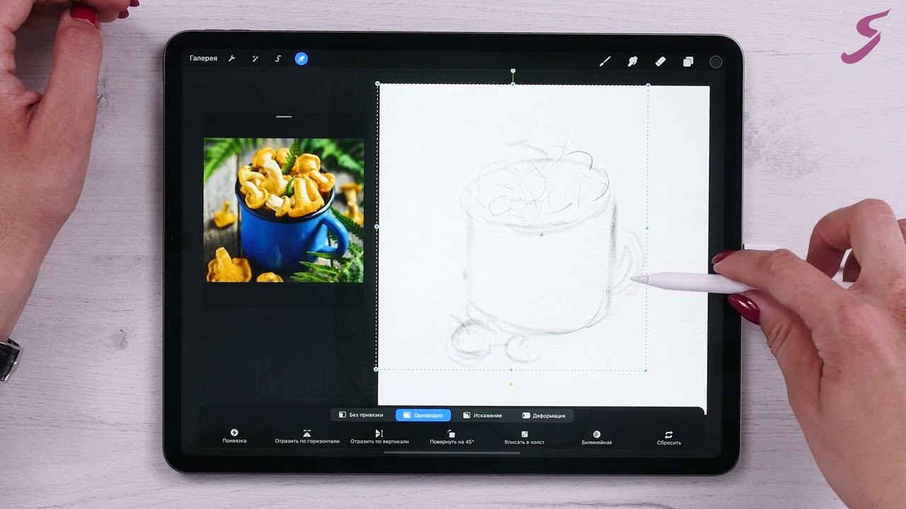 Лисички. Лето на палитре смотреть онлайн