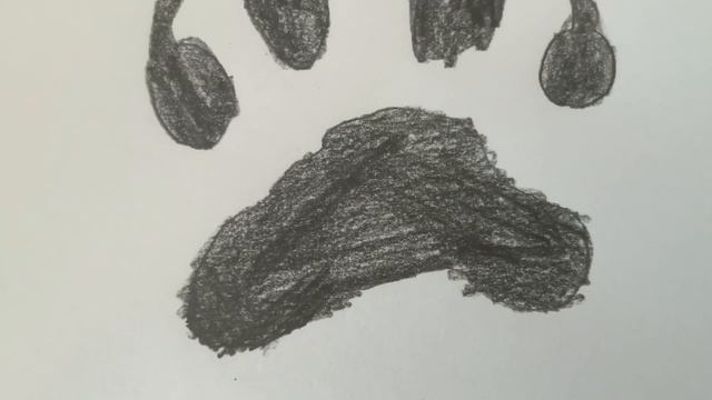 Dog paw 🐾 - Simon R. & Cyrus D смотреть онлайн