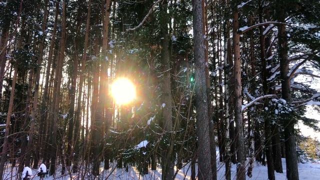 Истории из жизни Гулящая жена изменяла мужу со всеми, забеременела и хотела скрыть правду, но муж.. смотреть онлайн