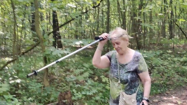 Соцопрос. Битцевский лес