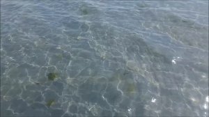 Посмотрим что этот день нам принесет! Пляжный поиск!