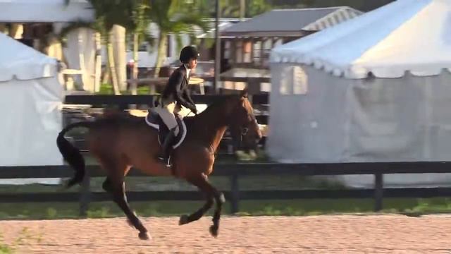 "Thrift Shop" (WEF Week 12) Training Jumper - 1.0m смотреть онлайн