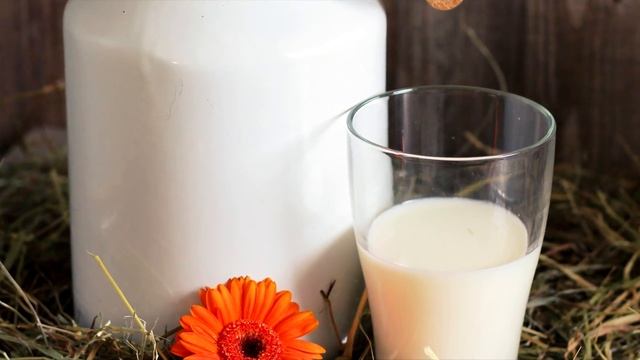 Самые любимые напитки Пророка Мухаммада смотреть онлайн