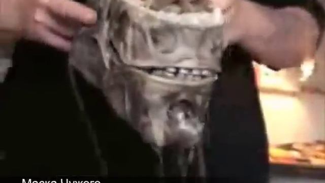 Маска Чужого смотреть онлайн