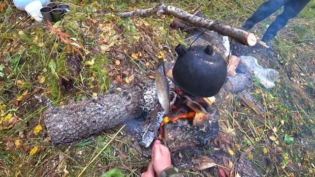 Сплав по таёжной речке. Изба в тайге приютила нас от непогоды. Сказочные места северных рек. #3 смотреть онлайн