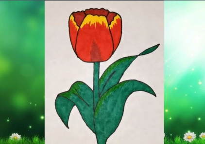 Рисуем Тюльпан смотреть онлайн