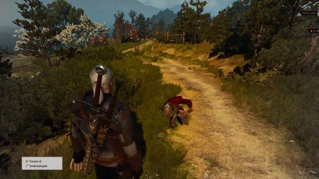 The Witcher 3 Gameplay i5 3470 GTX 1070 Ultrawide 2560x1080 смотреть онлайн