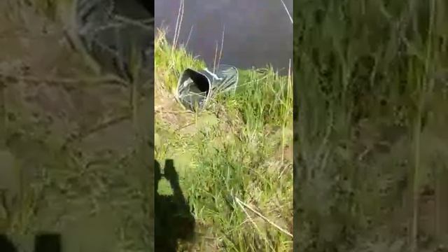 8 Сухой 2 Неверкино смотреть онлайн
