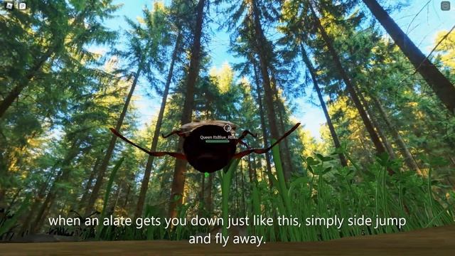 How to get better at Ant Life V2 Alate Battles. {Roblox Ant Life V2 / Beta testing}. смотреть онлайн