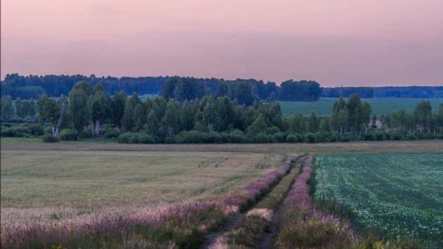 "ДЕРЕВНЯ МОЯ ЗАТЕРЯЛАСЯ"... (Фото Анатолия Шулепова (Челябинск) - Ансамбль "Уральская гармонь") смотреть онлайн