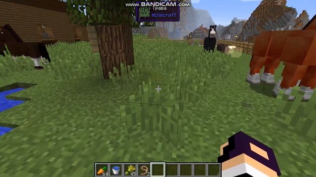 /Майнкрафт\Конюшня\Маша ожеребилась\Персиваль хороший отец\ смотреть онлайн