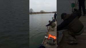 спиннинг Extreme Line New EL732XUL 0,5-6 грамм, ловля форели на платнике