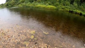 Рыбалка нахлыстом на красивой речке