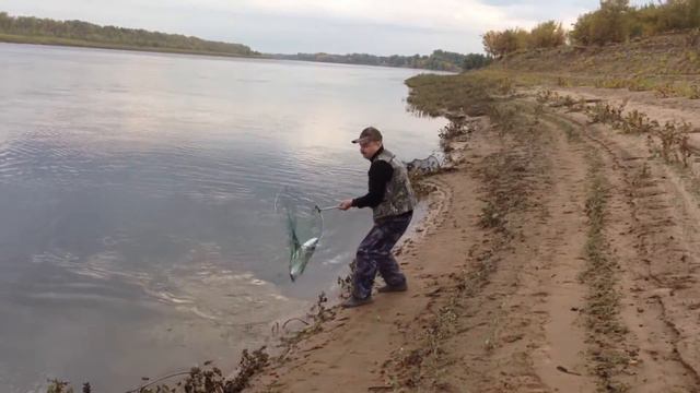 Мой улов. Реверсивный кораблик смотреть онлайн
