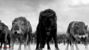 БУРИЛАР ХАКИДА СИЗ КУТГАН МАЪЛУМОТЛАР