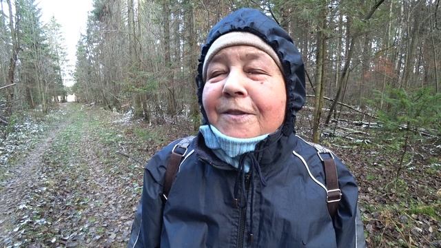 Лаковицы и подтопольники. В Лес 27 окт 2022. 1 ч. смотреть онлайн