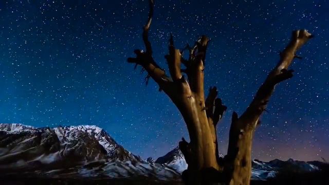 Мир в котором мы живём ! Видео релакс . смотреть онлайн