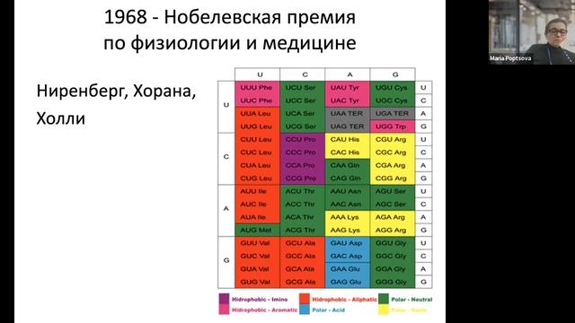 Биоинформатика ДНК, РНК и белков — лекция 2 смотреть онлайн
