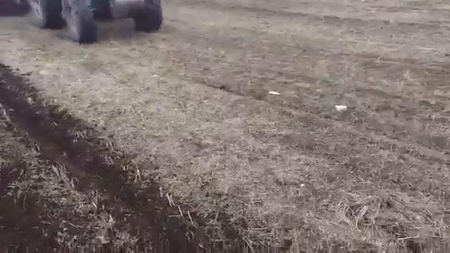 Прямой посев подсолнечника сеялкой MaterMacc PT8100 смотреть онлайн