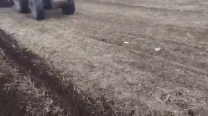 Прямой посев подсолнечника сеялкой MaterMacc PT8100