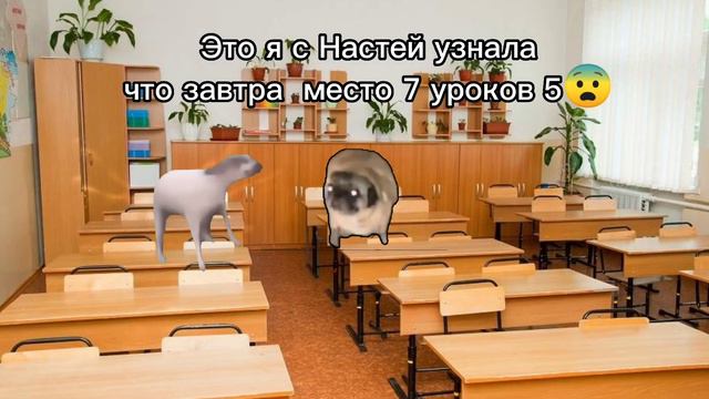 Мэмчики с 1 сентября 😭😂 Короче завтра вы будите со мной весь день! Не пропусти начало в 13:00 смотреть онлайн