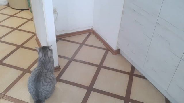 Оптимизирую пространство дома? хочу чтобы было удобно? смотреть онлайн