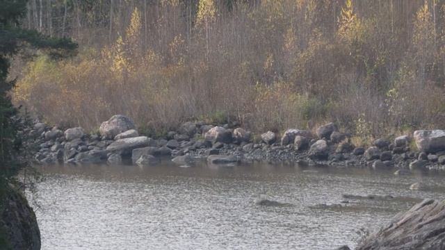 Panasonic HCX2000E test video смотреть онлайн