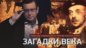Польские националисты против Красной армии