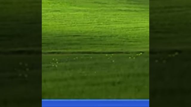 Анимация Против Аниматора | Windows XP Сломалась! смотреть онлайн