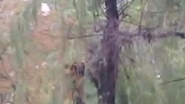 Макеевка после урагана 2 смотреть онлайн