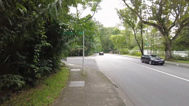 Singapore City: Celebrations In A Covid Endemic Singapore (Nov 2021)