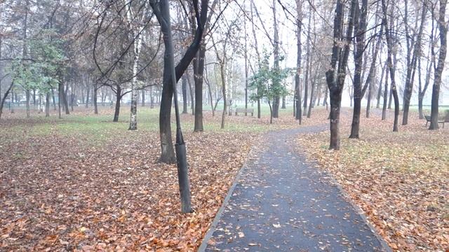 Страхи и их воздействие . смотреть онлайн