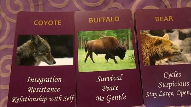 May 15-21, 2017 Forecast Animal Wisdom Oracle Cards смотреть онлайн