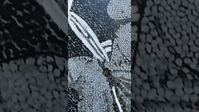 Mosaics of Pella P1. Подготовка распечатки смотреть онлайн