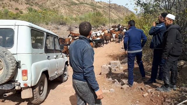 РОХ БА СУЙ ДАШТИ ДЖУМ ГАЛАЙ АСП смотреть онлайн