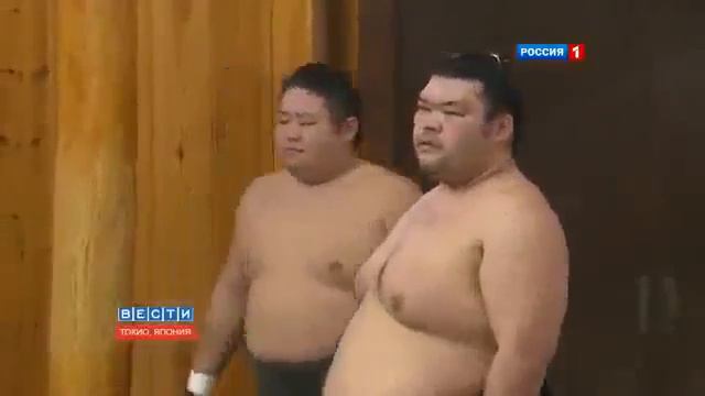 Смотрим, сумо в Японии не просто спорт, а вид искусства смотреть онлайн