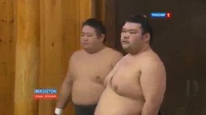 Смотрим, сумо в Японии   не просто спорт, а вид искусства