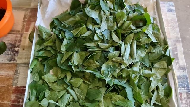 Лайфхаки для Ежедневной Жизни